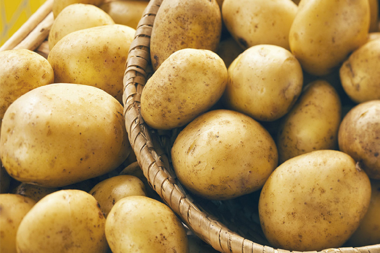 potato nation | potatoes