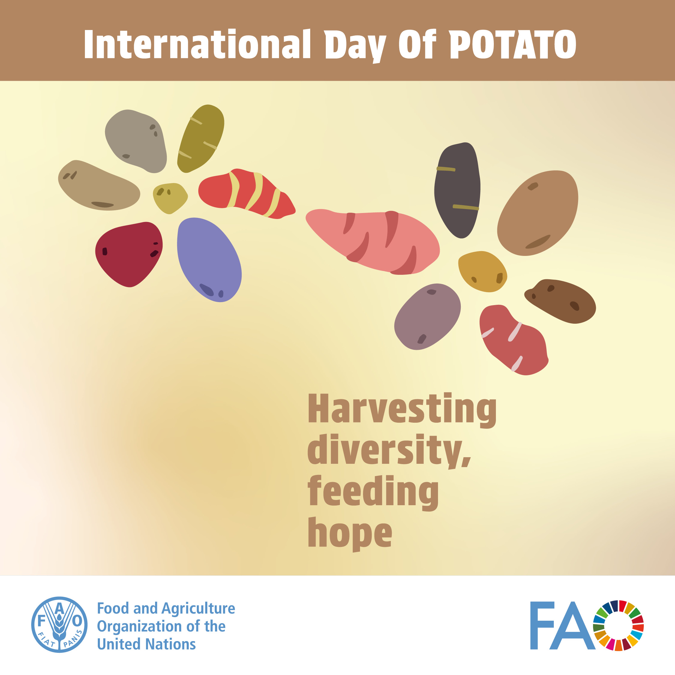 The 30th May is the first-ever International Day of Potato