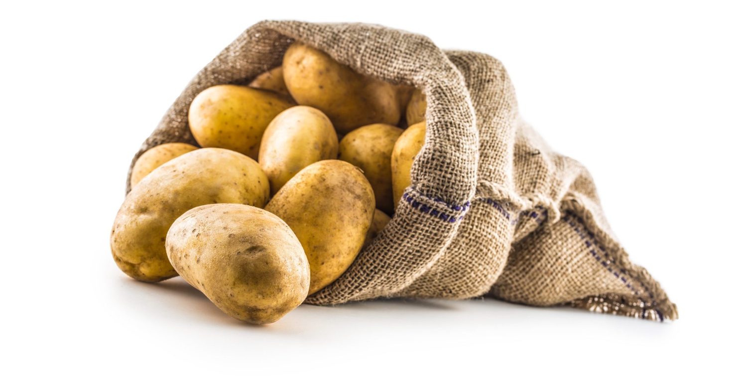 New potatoes in burlap sack isolated on white background.