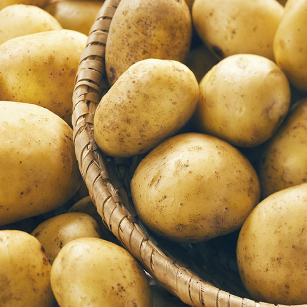 potato nation | potatoes